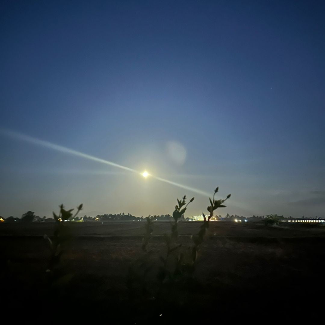 files/pfp_4_12a11df4-97f6-49d8-9d68-d829e5b8e50b.jpg